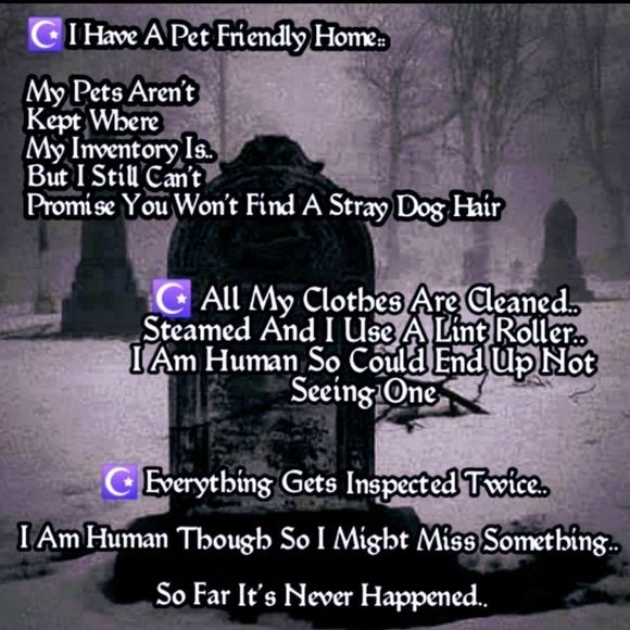 Picture Frame - Picture 6 of 6